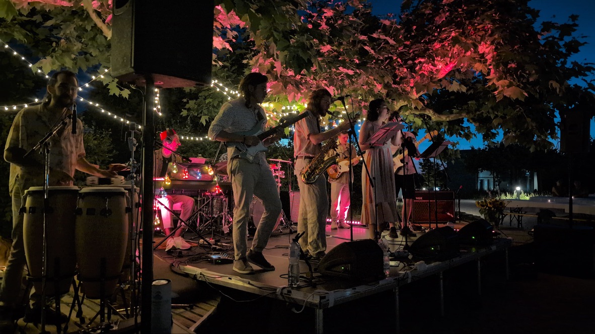 Provincial Penguin Travel Agency performing live on stage